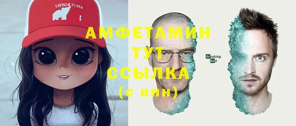 индика Нея