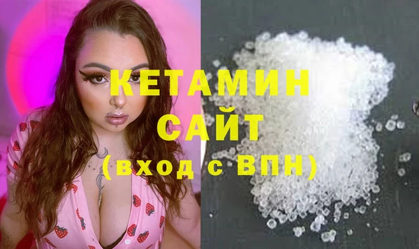 гидра Надым